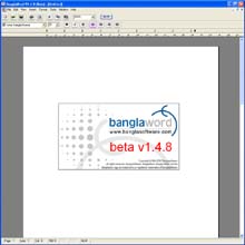BanglaSoftware Group. BanglaWord  processor software screen grab: Options, auto save tab